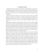 Kaimo kultūros ypatumai. Kaimo žmonių kultūrinių vertybių kaita 9 puslapis