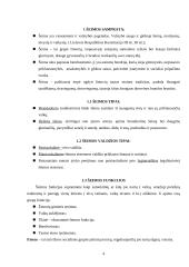 Kaimo šeima 4 puslapis