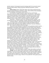 Kaimo turizmas Europos šalyse 20 puslapis