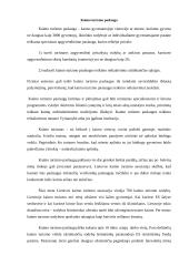 Kaimo turizmo versle iškylančios problemos 2 puslapis