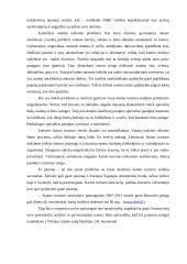 Kaimo turizmo versle iškylančios problemos 6 puslapis