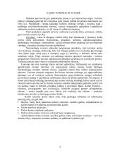 Kaimo turizmo esmė 4 puslapis