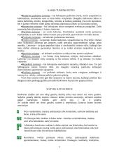 Kaimo turizmo esmė 5 puslapis