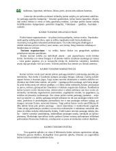 Kaimo turizmo esmė 6 puslapis