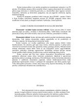 Kaimo turizmo esmė 8 puslapis