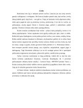 Kaimo turizmo problemos 2 puslapis