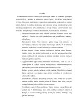 Kaimo turizmo problemos 13 puslapis