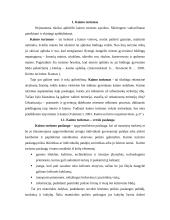 Kaimo turizmo problemos 3 puslapis