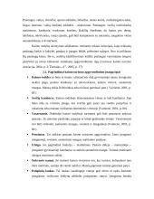 Kaimo turizmo problemos 6 puslapis