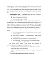 Kaimo turizmo problemos 8 puslapis