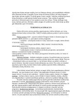 Kaimo turizmo sodyba ir joje teikiamos paslaugos 2 puslapis