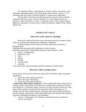 Kaimo turizmo sodyba ir joje teikiamos paslaugos 13 puslapis