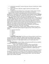 Kaimo turizmo sodyba ir joje teikiamos paslaugos 14 puslapis