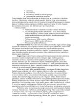 Kaimo turizmo sodyba ir joje teikiamos paslaugos 19 puslapis