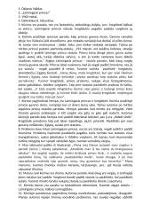 Aprašymas „Laimingasis princas"