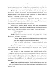 Kaimo vietovėje įsikūrusios prekybos įmonės marketingo mikroaplinkos tyrimas 7 puslapis