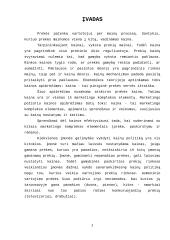 Rinkos bei kaštų poveikis kainai 2 puslapis