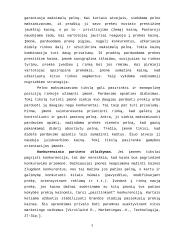 Rinkos bei kaštų poveikis kainai 4 puslapis