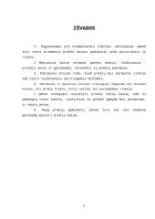 Rinkos bei kaštų poveikis kainai 8 puslapis