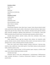 Kainodara įmonėje 3 puslapis