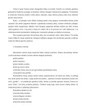 Kainodara įmonėje 6 puslapis