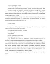 Kainodara įmonėje 7 puslapis