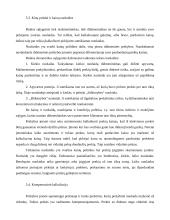 Kainodara įmonėje 9 puslapis