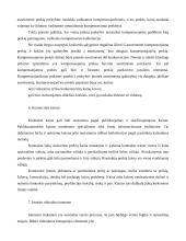 Kainodara įmonėje 10 puslapis