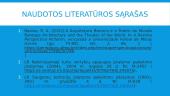 Baroko architektūra. Skaidrės 15 puslapis