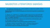 Baroko architektūra. Skaidrės 16 puslapis