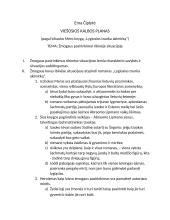 Žmogaus pasirinkimai ribinėje situacijoje. Planas