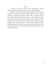 Kainodara monopolijos sąlygomis ir monopolijos reguliavimas 19 puslapis