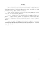 Kainodara paremta kaštais 2 puslapis