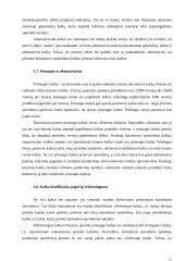 Kainodara paremta kaštais 11 puslapis