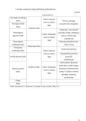 Kainodara paremta kaštais 13 puslapis