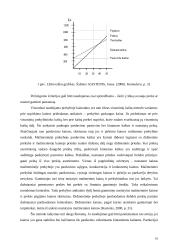 Kainodara paremta kaštais 17 puslapis