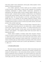 Kainodara paremta kaštais 19 puslapis