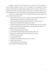 Kainodara paremta kaštais 5 puslapis