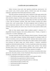 Kainodara paremta kaštais 6 puslapis