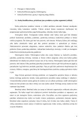 Kainodara paremta kaštais 7 puslapis