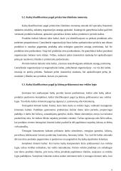 Kainodara paremta kaštais 8 puslapis