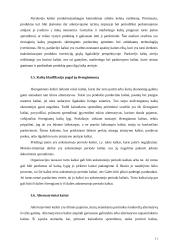 Kainodara paremta kaštais 10 puslapis