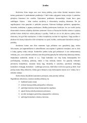 Kainodaros principai 2 puslapis