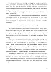 Kainodaros principai 12 puslapis