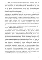 Kainodaros principai 13 puslapis