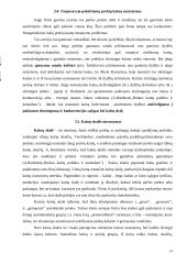 Kainodaros principai 14 puslapis