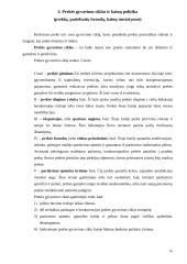 Kainodaros principai 16 puslapis