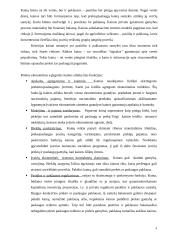 Kainodaros principai 4 puslapis
