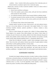 Kainodaros principai 5 puslapis