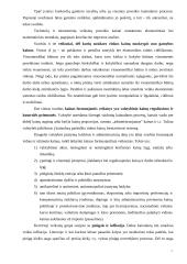 Kainodaros principai 7 puslapis